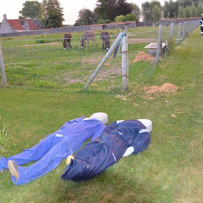 10 oktober 2016 — foto 60