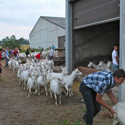 Diverse Tussenkomsten 2012 — foto 30