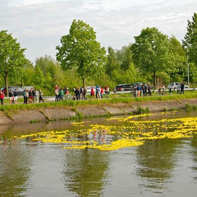 Eendenrace 2013 — foto 24