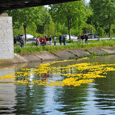 Eendenrace 2013 — foto 25