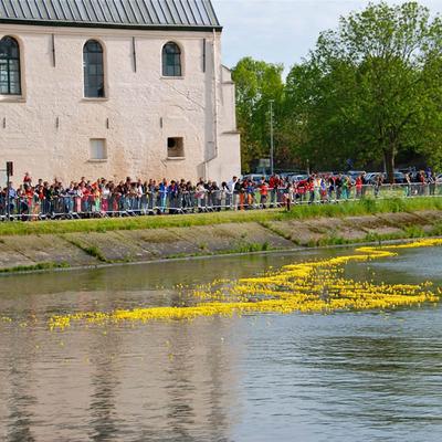 Eendenrace 2013 — foto 29