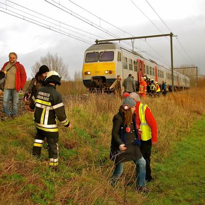 Waaier Lente 2013 — foto 8